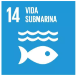 2019-05-09 10_43_10-Objetivos y metas de desarrollo sostenible - Desarrollo Sostenible